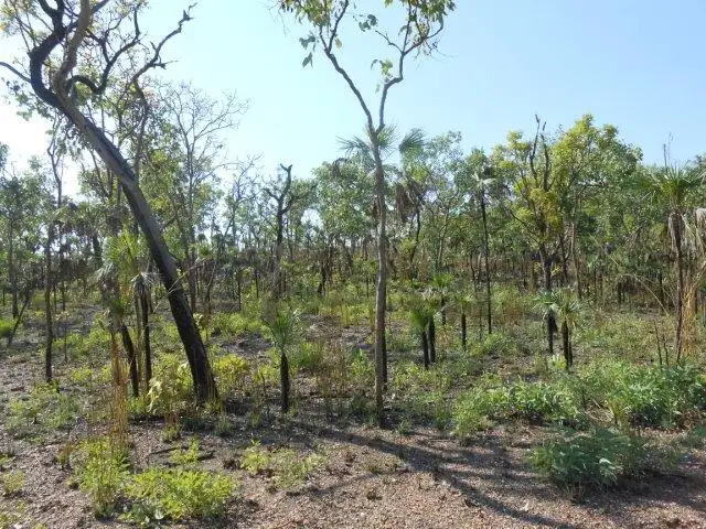 Sixth view of Homely land listing, 6710 Stuart Highway, Coomalie Creek NT 822