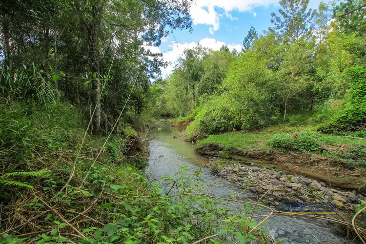 Fifth view of Homely rural property listing, 3225 Kyogle Road, Mount Burrell NSW 2484