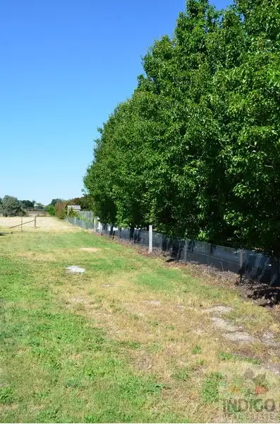 Seventh view of Homely land listing, LOT 2, 8 Diffey Road, Beechworth VIC 3747