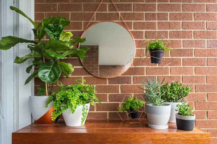 Fifth view of Homely apartment listing, 21/268 Johnston Street, Annandale NSW 2038