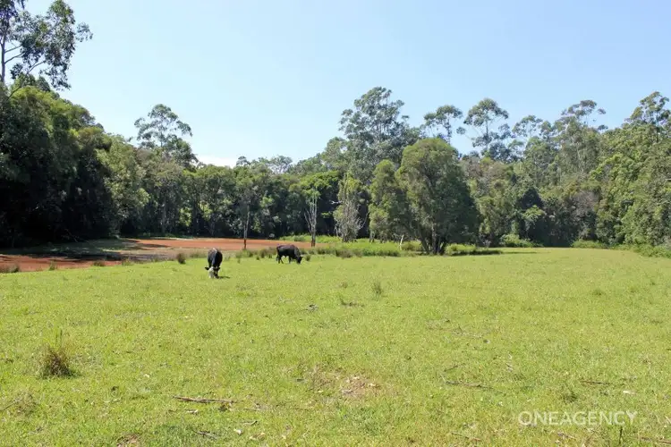 Third view of Homely rural property listing, LOT 29 Chain O Ponds Road, Collombatti NSW 2440