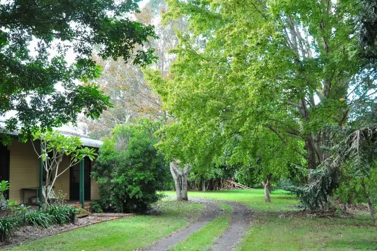 Fourth view of Homely house listing, 149 Pearson Road, Eltham NSW 2480