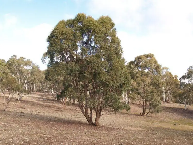 Fifth view of Homely land listing, 1411 Lumley Road, Bungonia NSW 2580