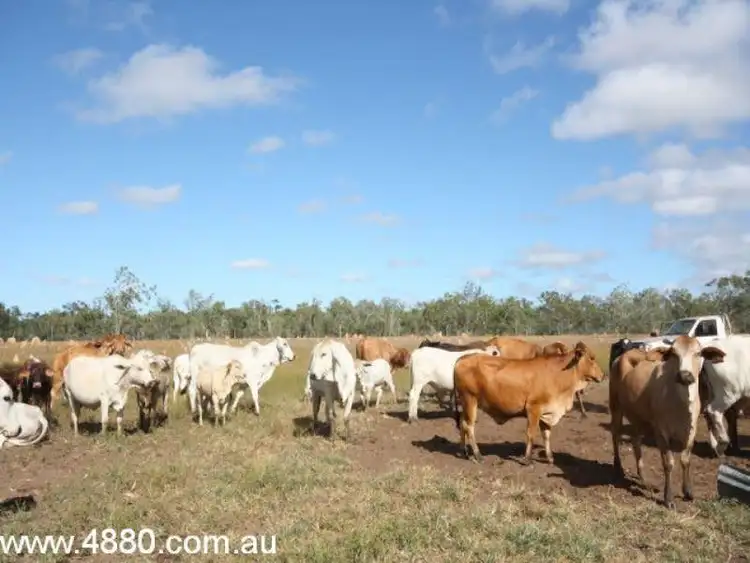 Second view of Homely rural property listing, Address available on request