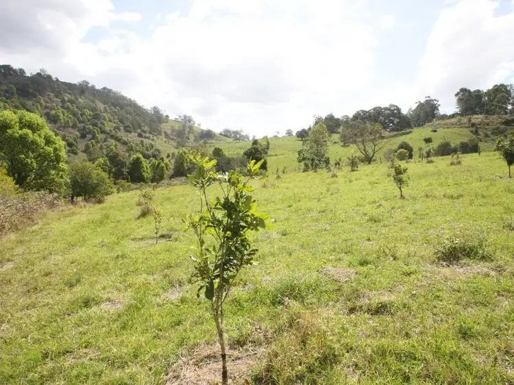 Third view of Homely rural property listing, 31 Arkinstall Road, Tuntable Creek NSW 2480