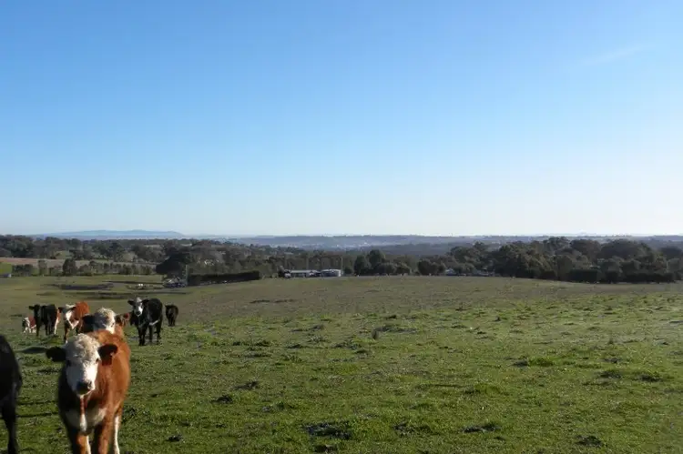Second view of Homely land listing, 1058 Kingsvale Road, Young NSW 2594