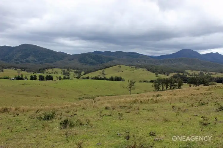 Sixth view of Homely rural property listing, Lot 3 Carrai Road, Willi Willi NSW 2440