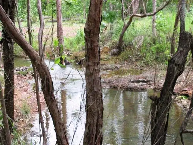 Main view of Homely rural property listing, LOT 6 Parkin Road, Fly Creek NT 822