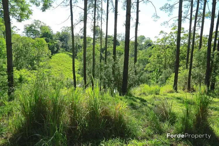 Seventh view of Homely land listing, William Road, Eumundi QLD 4562