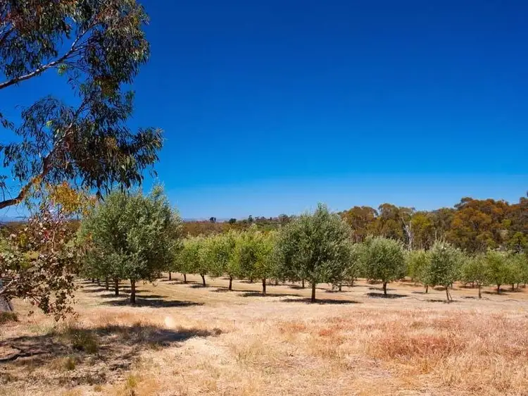 Fifth view of Homely land listing, Lot 1, 126 Allans Road, Maldon VIC 3463