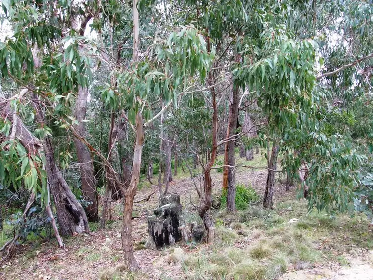 Fifth view of Homely land listing, Lot 74 Kangaroo Road, Greendale VIC 3341