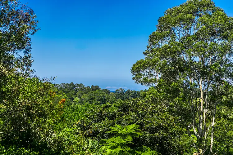 Sixth view of Homely house listing, 110 Broken Head Road, Newrybar NSW 2479