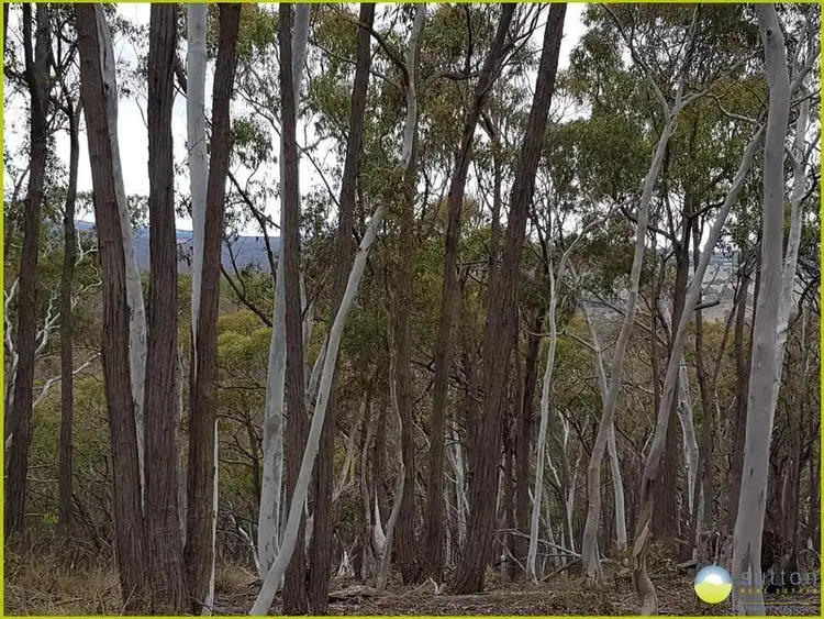 Sixth view of Homely rural property listing, 334 Kerrick Lane, Gundaroo NSW 2620
