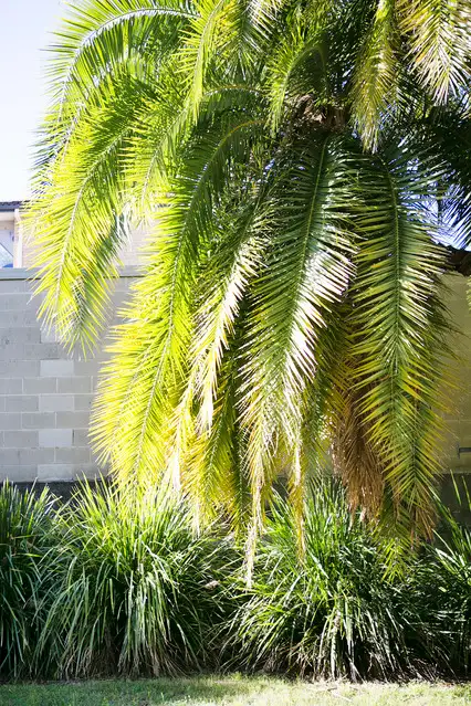 Fifth view of Homely unit listing, 20/63 Pacific Parade, Dee Why NSW 2099