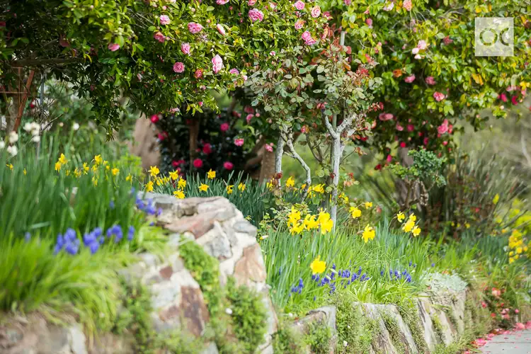 Fifth view of Homely house listing, 26 Days Road, Uraidla SA 5142