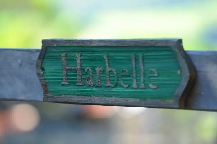 Second view of Homely rural property listing, Address available on request