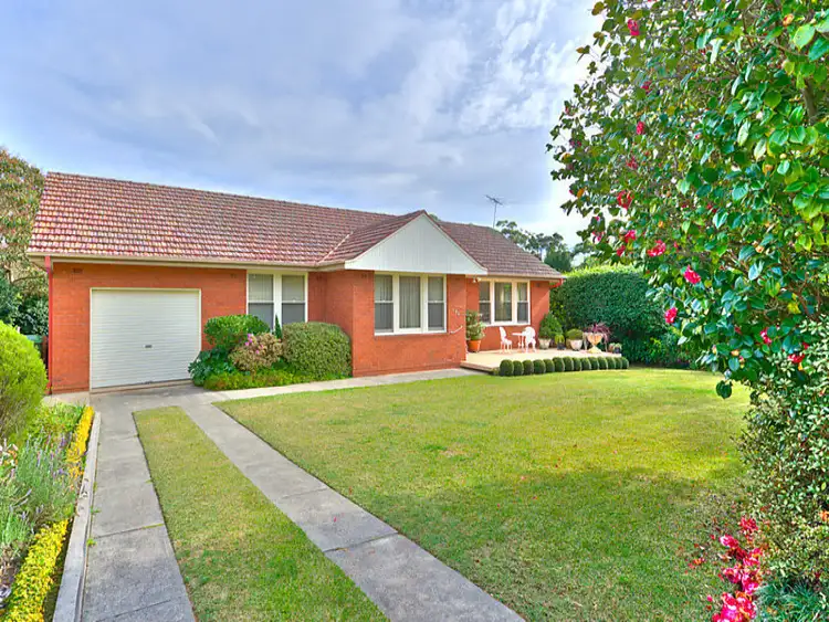 Main view of Homely house listing, 186 Bobbin Head Road, Turramurra NSW 2074