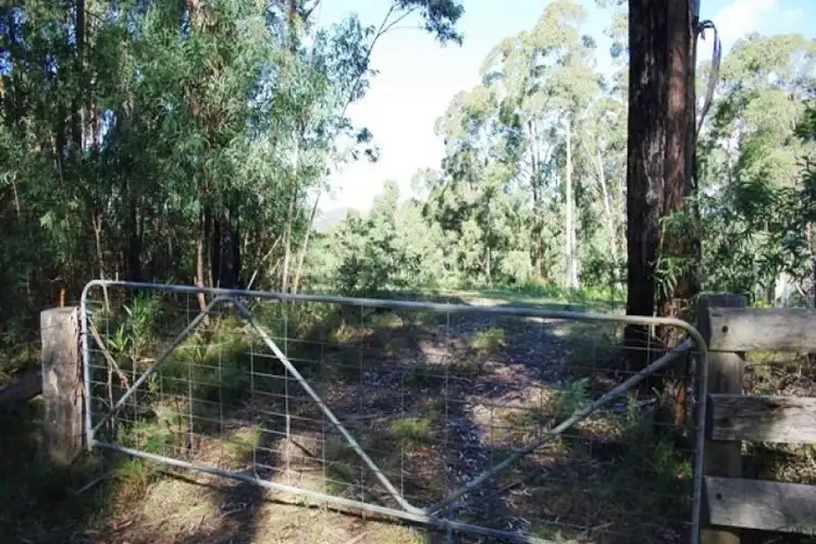 Seventh view of Homely rural property listing, LOT 35 Murrabrine Road, Yowrie NSW 2550