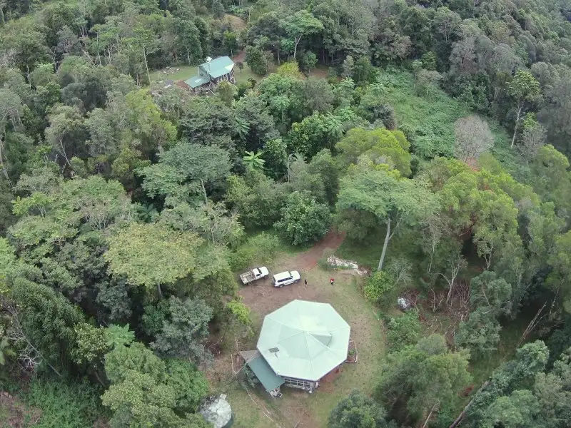 Main view of Homely rural property listing, 834 Terania Creek Road, The Channon NSW 2480