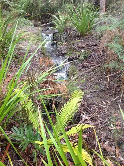 Fourth view of Homely land listing, 182 Mountain Road, Lilydale TAS 7268