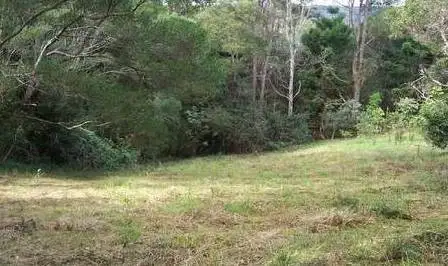 Main view of Homely land listing, 45 Lyrebird Ridge Road, Springbrook QLD 4213