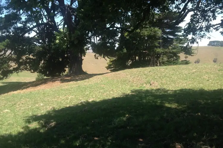Seventh view of Homely house listing, 120 McIntosh's Road, Strzelecki VIC 3950