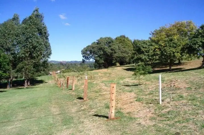 Sixth view of Homely house listing, 242-254 Kureelpa Falls Road, Kureelpa QLD 4560