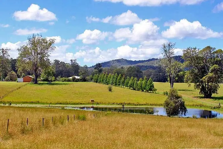 Fourth view of Homely rural property listing, 50 Dennis Road, Mungay Creek NSW 2440