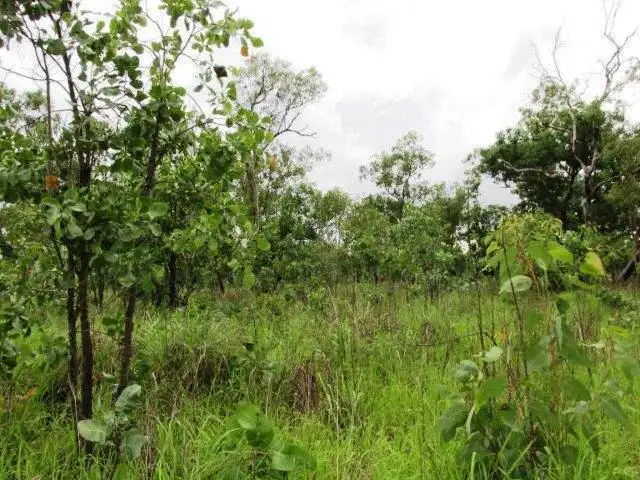 Main view of Homely land listing, 547 Parkin Road, Fly Creek NT 822