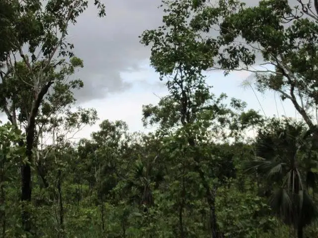 Sixth view of Homely rural property listing, LOT 6 Parkin Road, Fly Creek NT 822