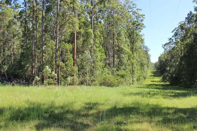 Fourth view of Homely rural property listing, 403 Battersons Lane, Collombatti NSW 2440