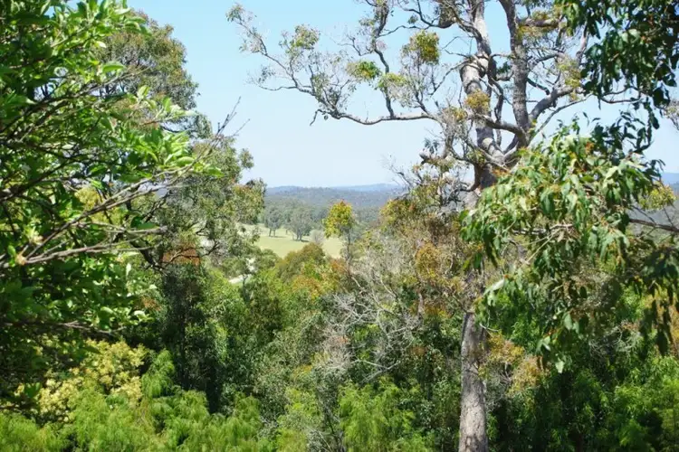 Seventh view of Homely rural property listing, 39 Westrops Road, Bermagui NSW 2546