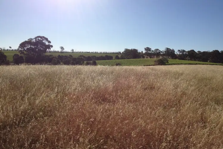 Seventh view of Homely land listing, 31 Levetts Road, Young NSW 2594