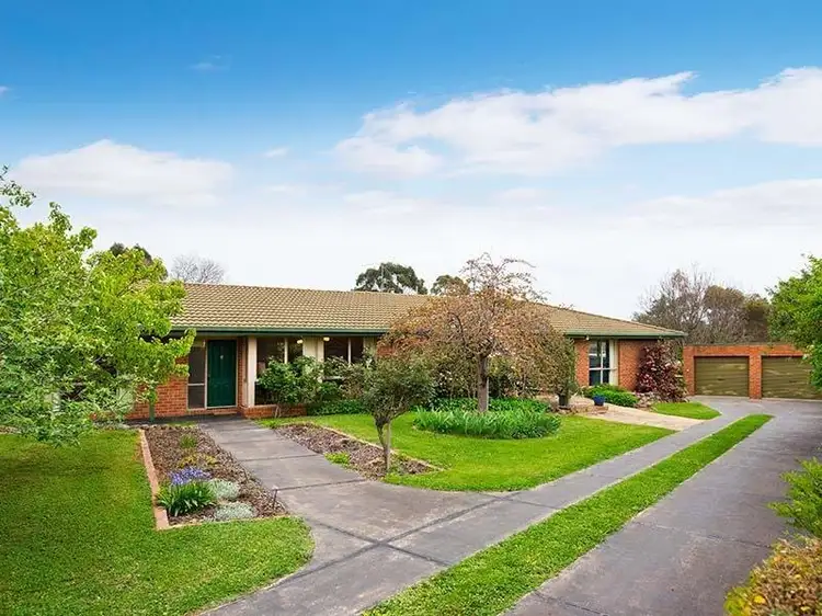 Main view of Homely house listing, 12 Sheehan Court, Castlemaine VIC 3450