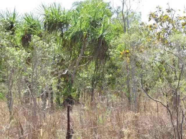Seventh view of Homely land listing, 500 Peacock Road, Darwin River NT 841