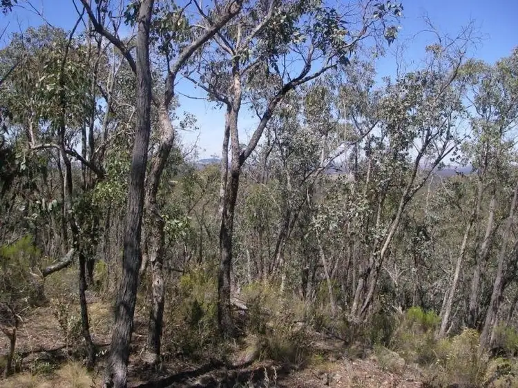Seventh view of Homely land listing, 148 Vaughan - Chewton Road, Fryerstown VIC 3451