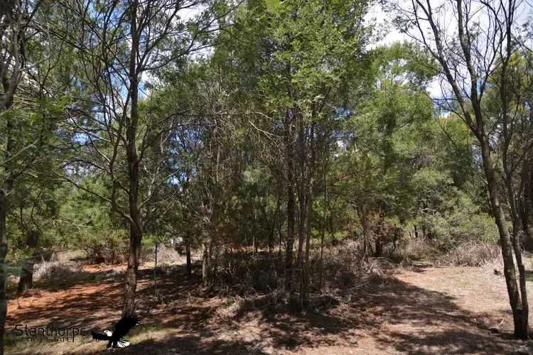 Seventh view of Homely rural property listing, LOT 184 South Drive, Sugarloaf QLD 4380