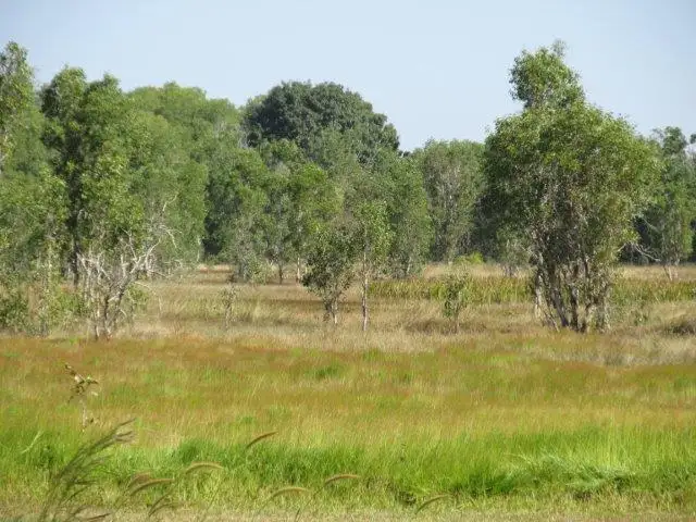 35 Warren Road, Lambells Lagoon NT 822