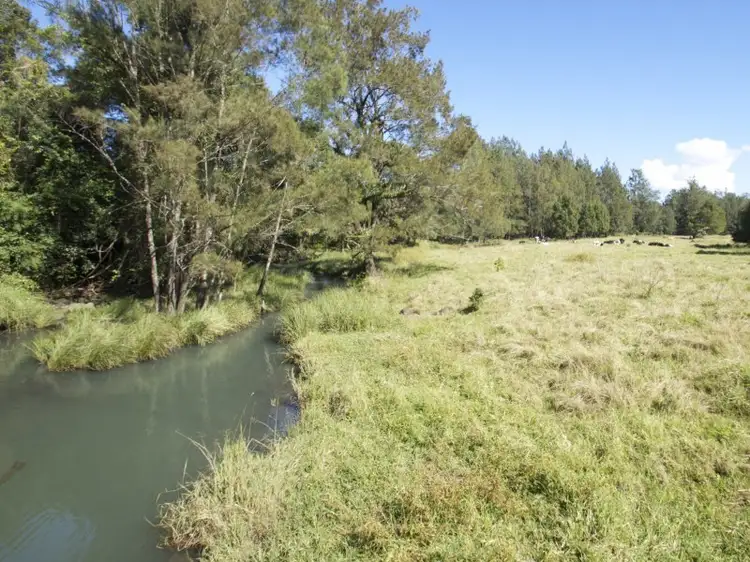 Seventh view of Homely rural property listing, 237 Gungas Road, Nimbin NSW 2480