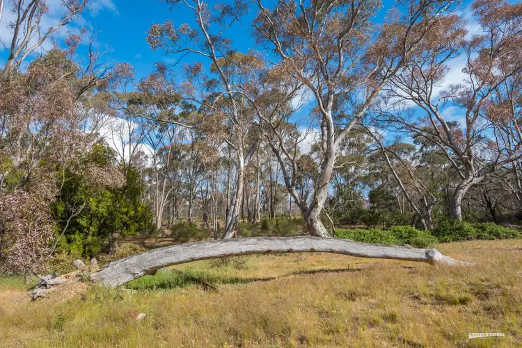 Third view of Homely rural property listing, 598 Bendigo-Maldon Road, Maldon VIC 3463