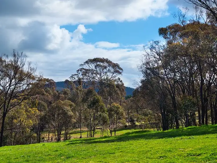 48 Morris Street, Maldon VIC 3463