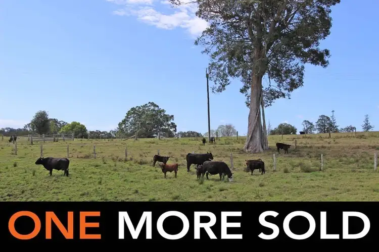 Main view of Homely rural property listing, 73 Oakland Road, Dondingalong NSW 2440