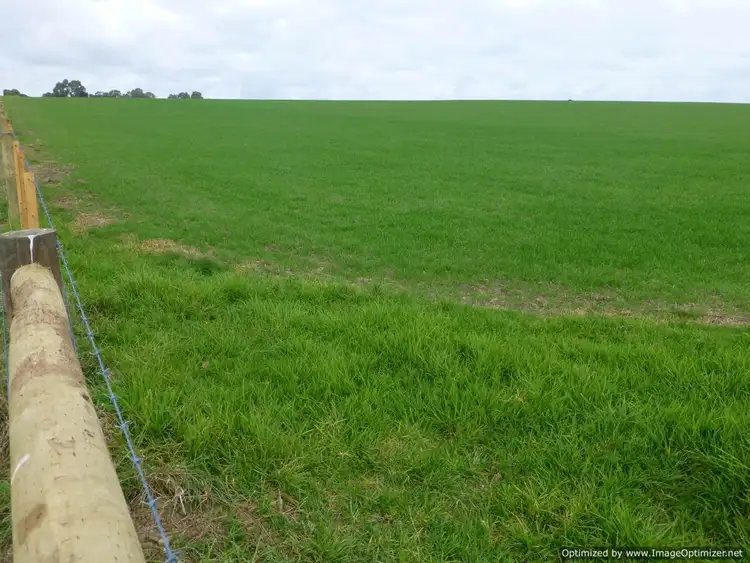 Fourth view of Homely rural property listing, 205 Buchanans Road, Bairnsdale VIC 3875