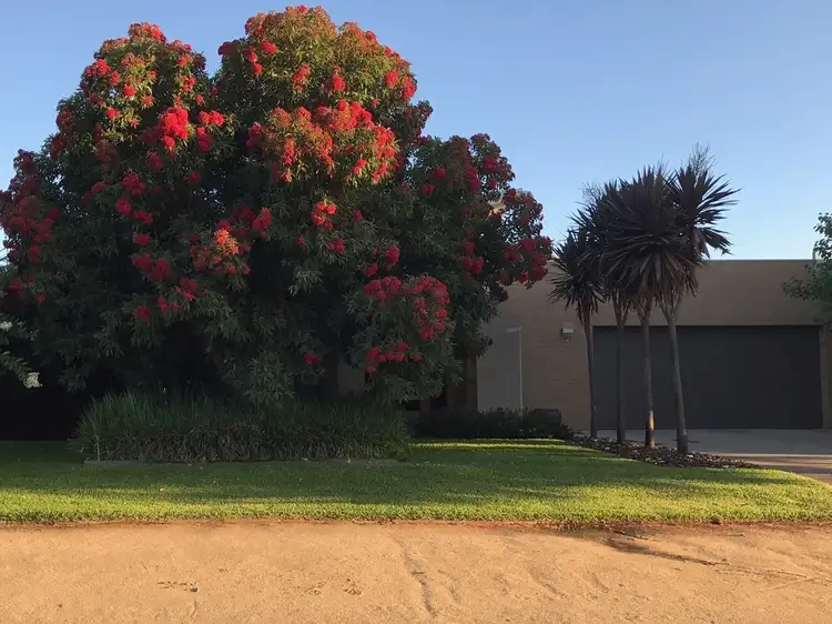 Main view of Homely house listing, 2 Greytown Court, Moama NSW 2731