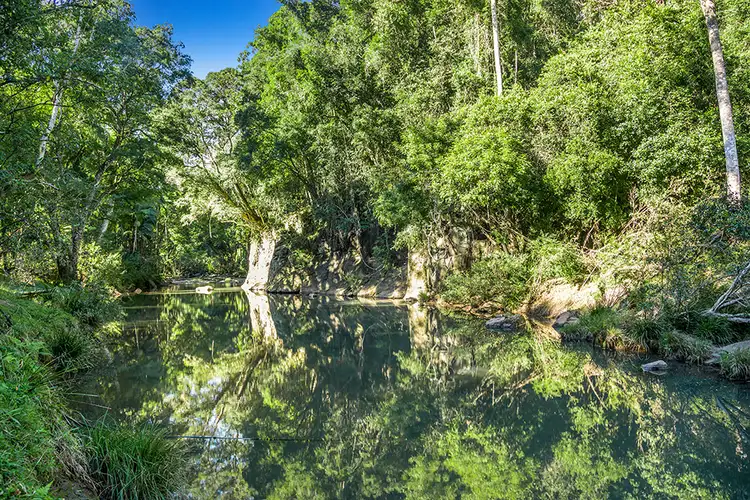 Fourth view of Homely house listing, 206 Upper Coopers Creek Road, Repentance Creek NSW 2480