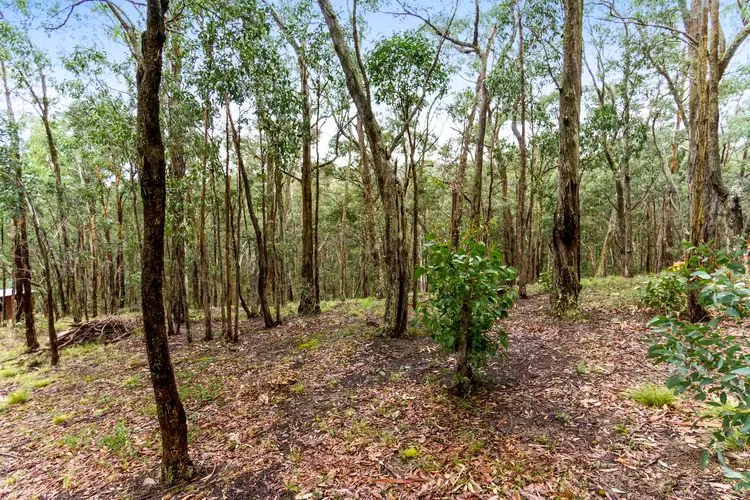 Fourth view of Homely land listing, 99 Dales Creek Avenue, Dales Creek VIC 3341