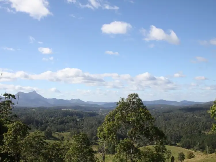 Fourth view of Homely rural property listing, 4119 Kyogle Road, Lillian Rock NSW 2480