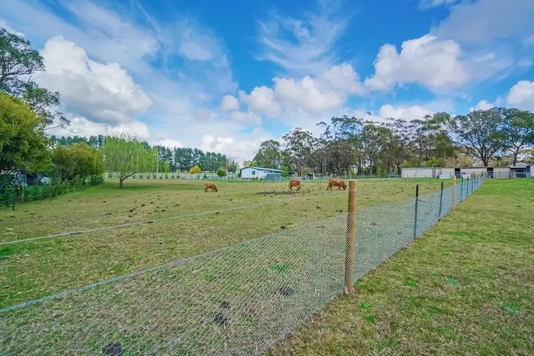 Fifth view of Homely house listing, 10 Boundary Road, Buxton NSW 2571