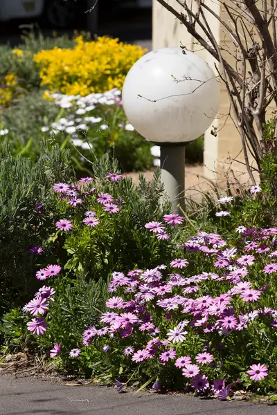 Second view of Homely apartment listing, Level G/7/47 Eyre Street, Kingston ACT 2604