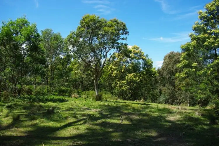 Second view of Homely rural property listing, LOT 1 County Boundary Road, Cobargo NSW 2550